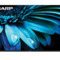 Sharp Roku TV 55" Class 4K Ultra HD with HDR10 (4T-C55El8UR) head on