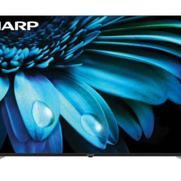 Sharp Roku TV 65" Class 4K Ultra HD with HDR10 (4T-C65EL8UR) head on