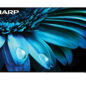 Sharp Roku TV 75" Class 4K Ultra HD with HDR10 (4T-C75EL8UR) head on