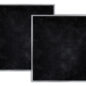 SKRH30CFL Charcoal Filter 2-Pack Head On