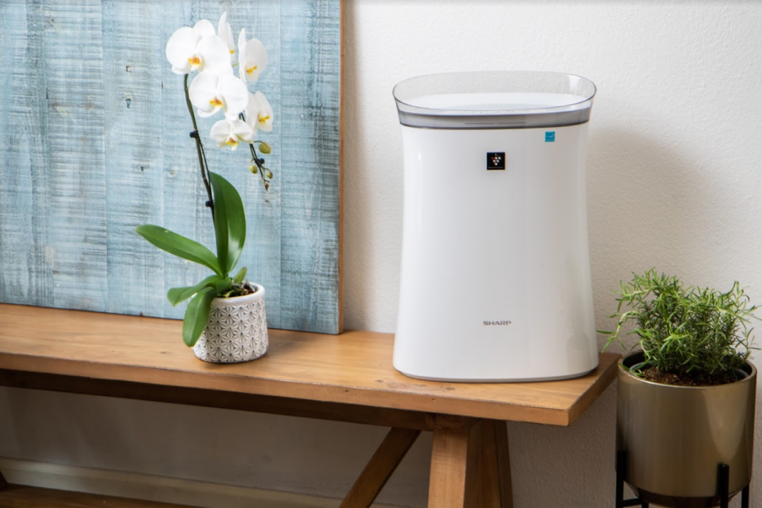 Sharp air purifier on a bench with flower
