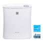 Sharp Small Room True HEPA Air Purifier (FPF30UH)  head on