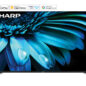 Sharp Roku TV 55" Class 4K Ultra HD with HDR10 (4T-C55El8UR) cobranded