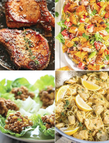 meals that are to be made in twenty minutes