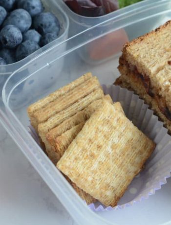 Sandwhich in a containerwith crackers, blueberries, and strawberries.