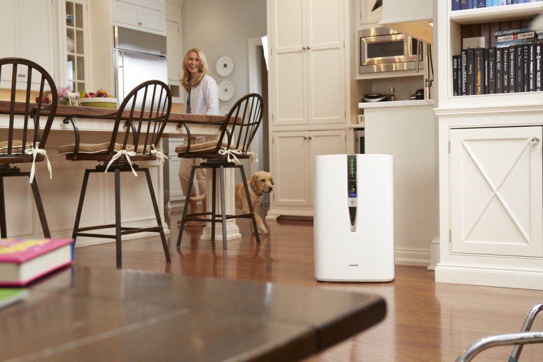 Dog and a woman in a kitchen next to an air purifier.