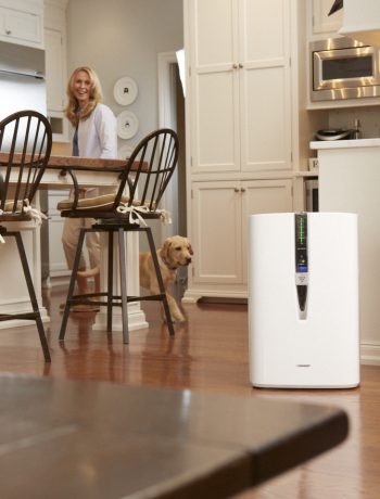 Dog and a woman in a kitchen next to an air purifier.