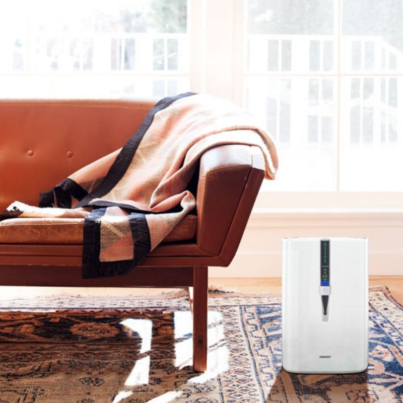 Air purifier on a rug in a living room next to a sofa.