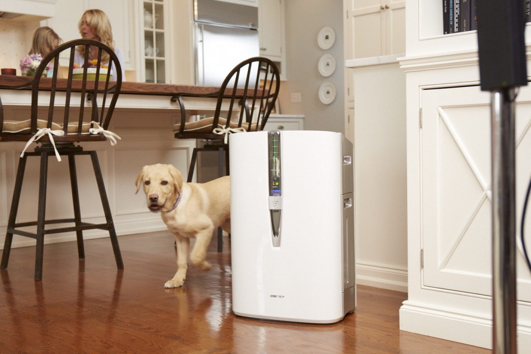 Air Purifier next to a dog with mother and daughter in the background..
