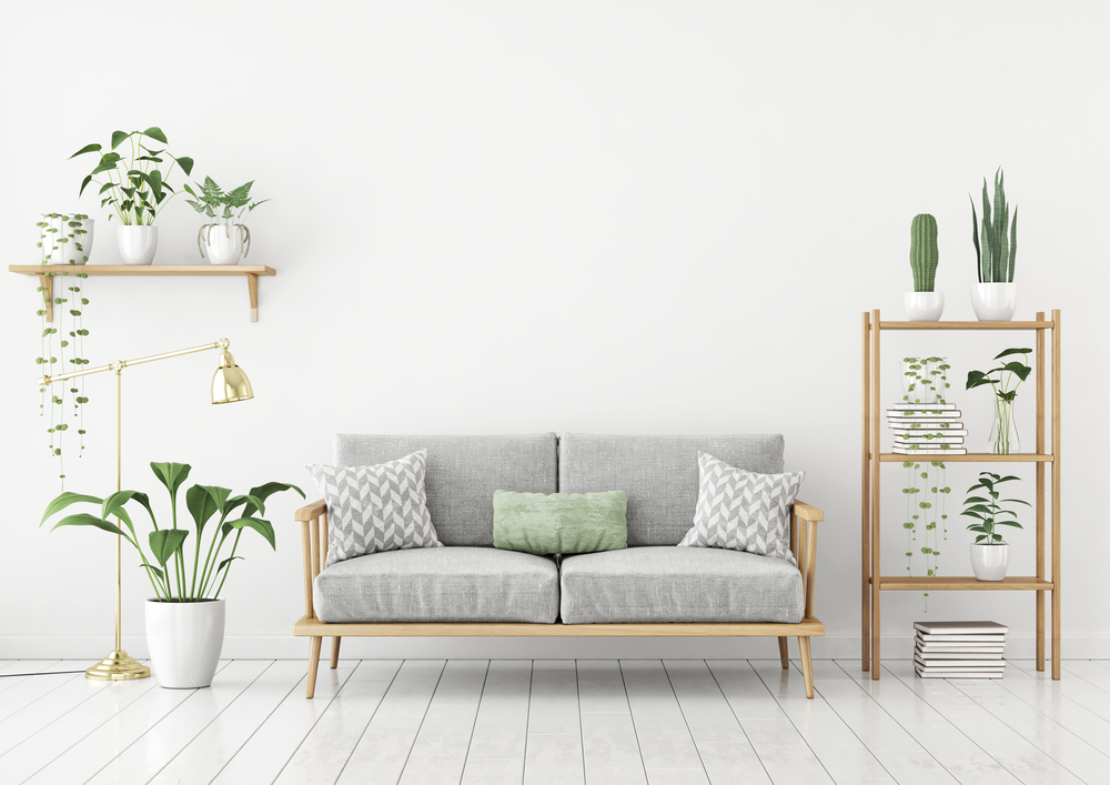 Couch next to a bookcase, plant, lamp, and shelf.