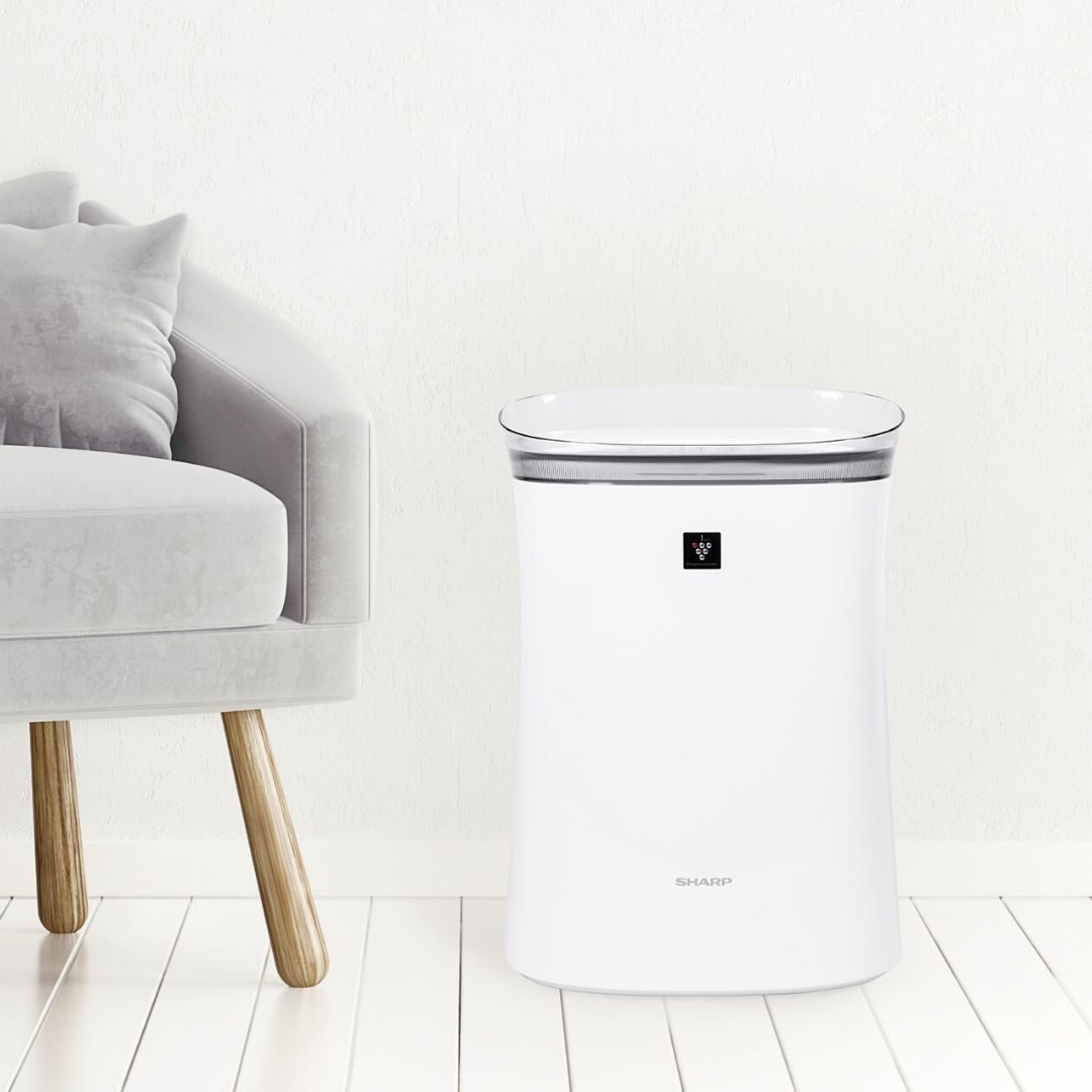 Air purifier in clean room
