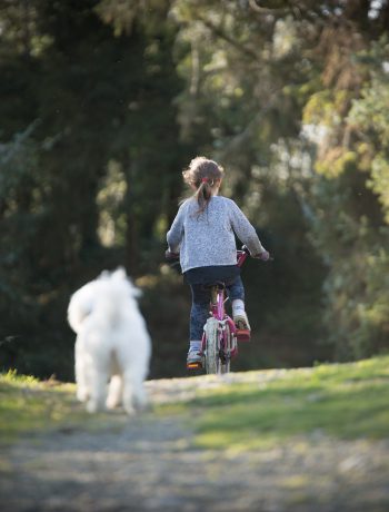 Child biking outdoors with dog