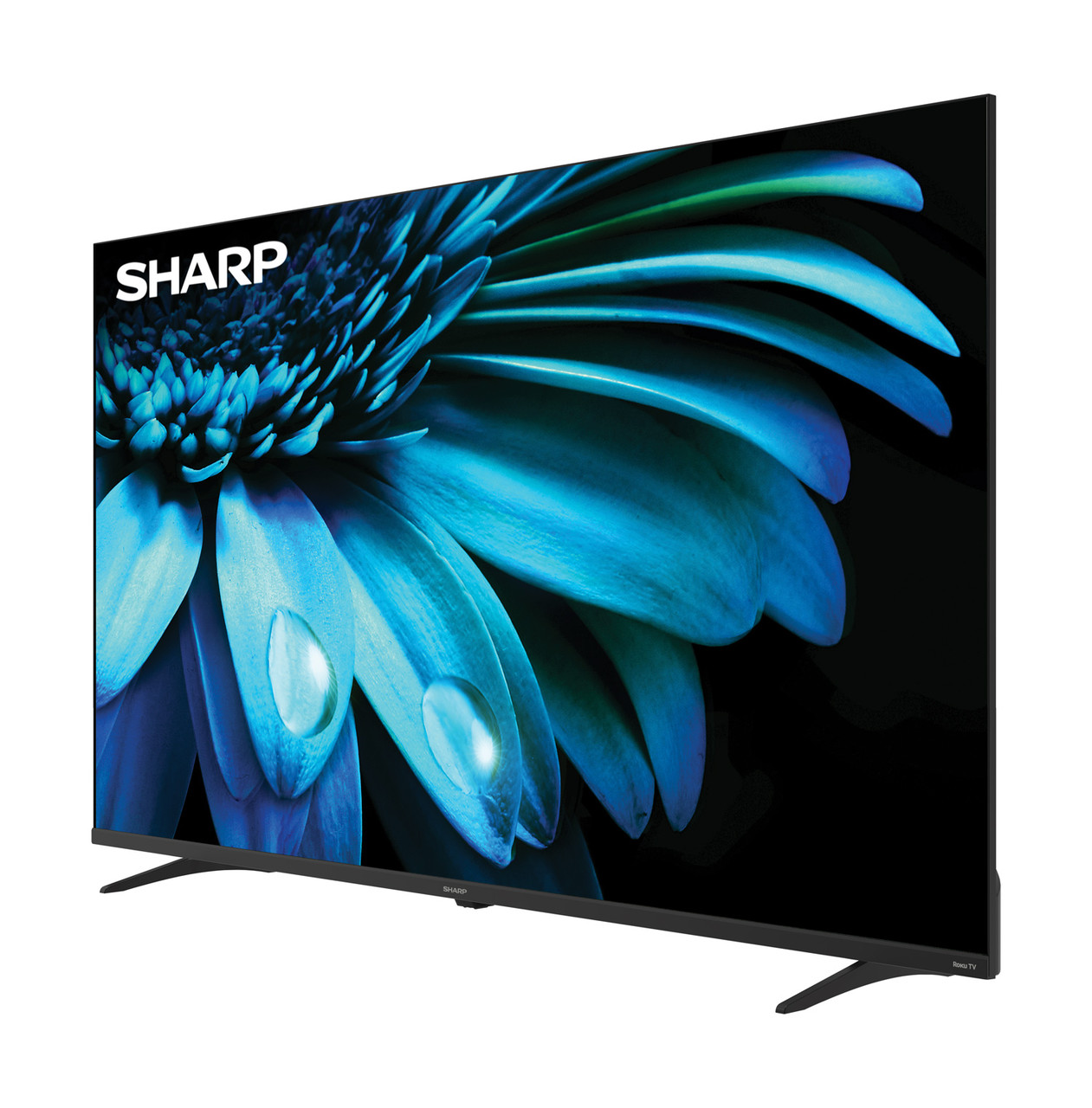 SHARP Roku TV 50" Class 4K Ultra HD with HDR10 (4T-C50EL8UR) left angle