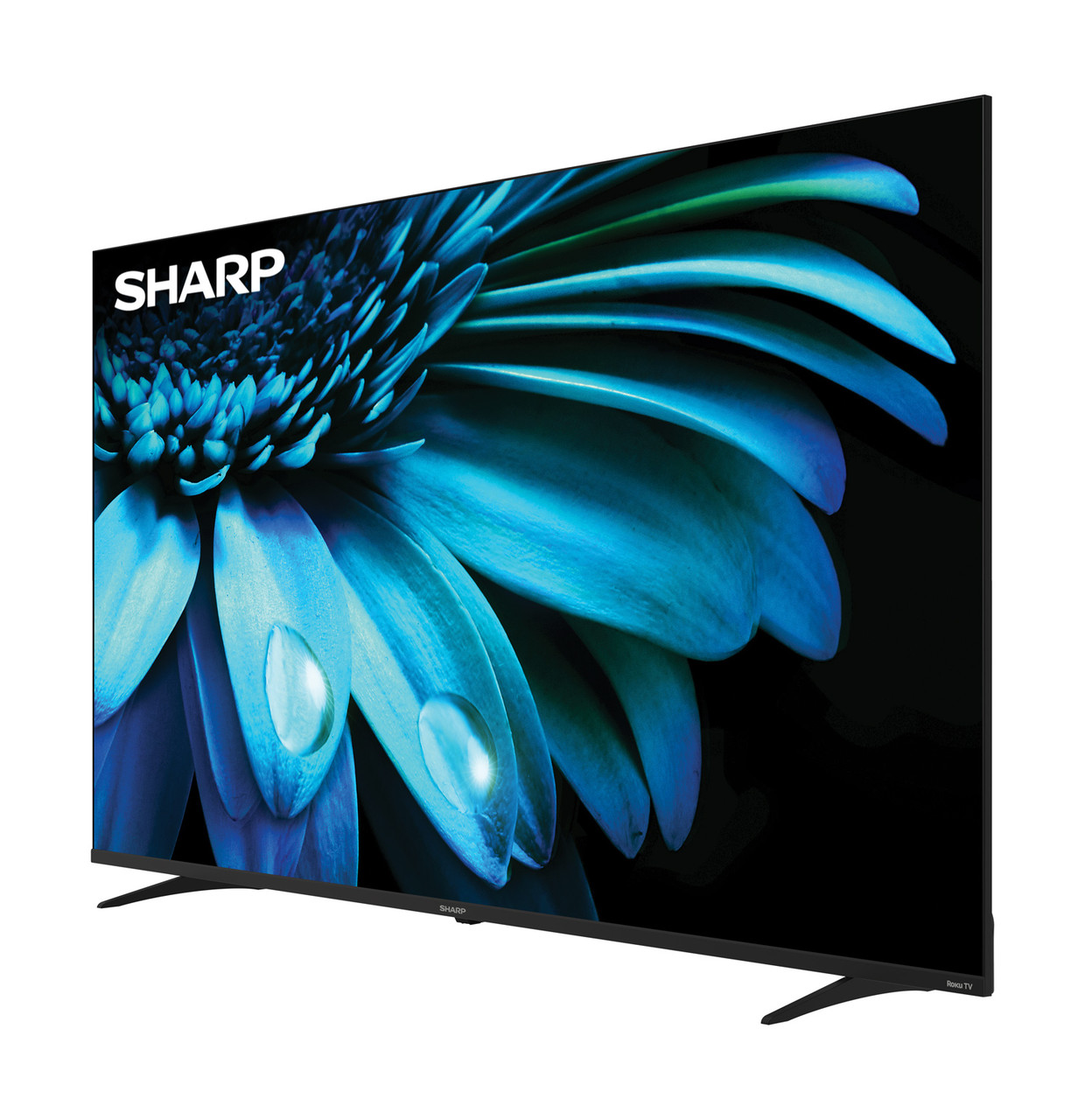 Sharp Roku TV 65" Class 4K Ultra HD with HDR10 (4T-C65EL8UR) left angle