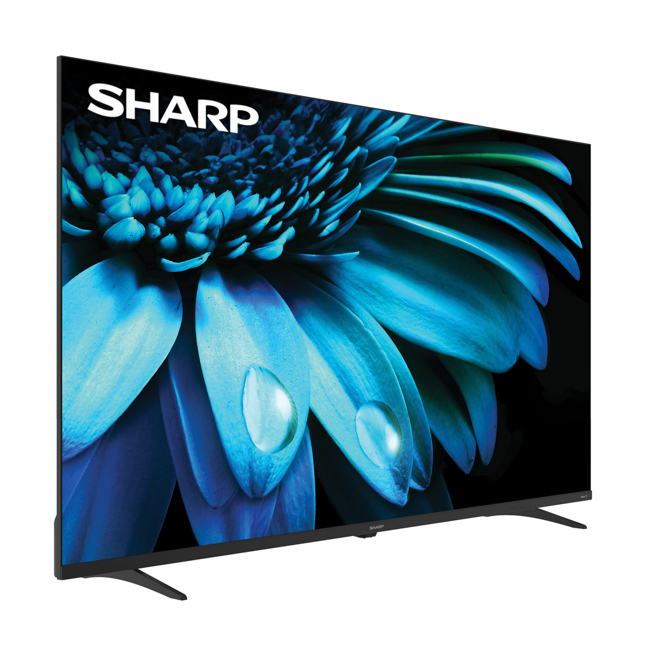 SHARP Roku TV 50" Class 4K Ultra HD with HDR10 (4T-C50EL8UR) right angle