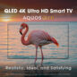Sharp AQUOS QLED 50” Class (49.5” Diag.) 4K Ultra HD Smart TV (4T-C50HP7050U) 4K Ultra HD Smart TV Infographic