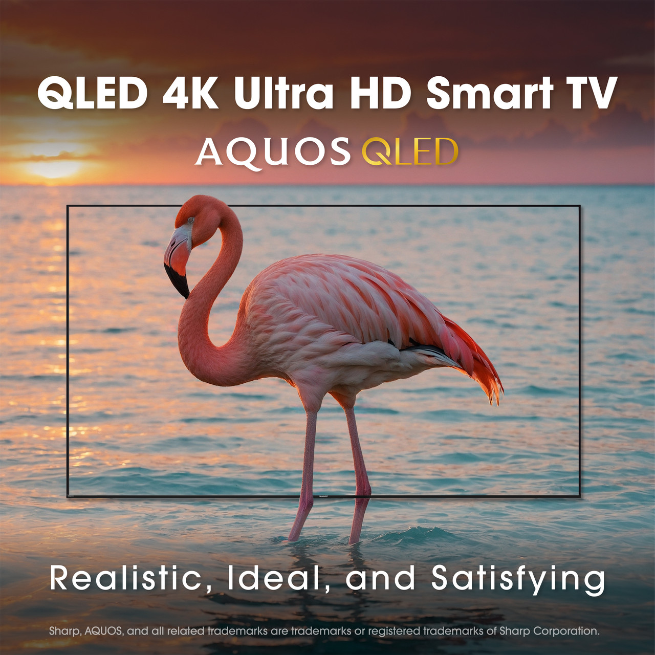 Sharp AQUOS QLED 50” Class (49.5” Diag.) 4K Ultra HD Smart TV (4T-C50HP7050U) 4K Ultra HD Smart TV Infographic