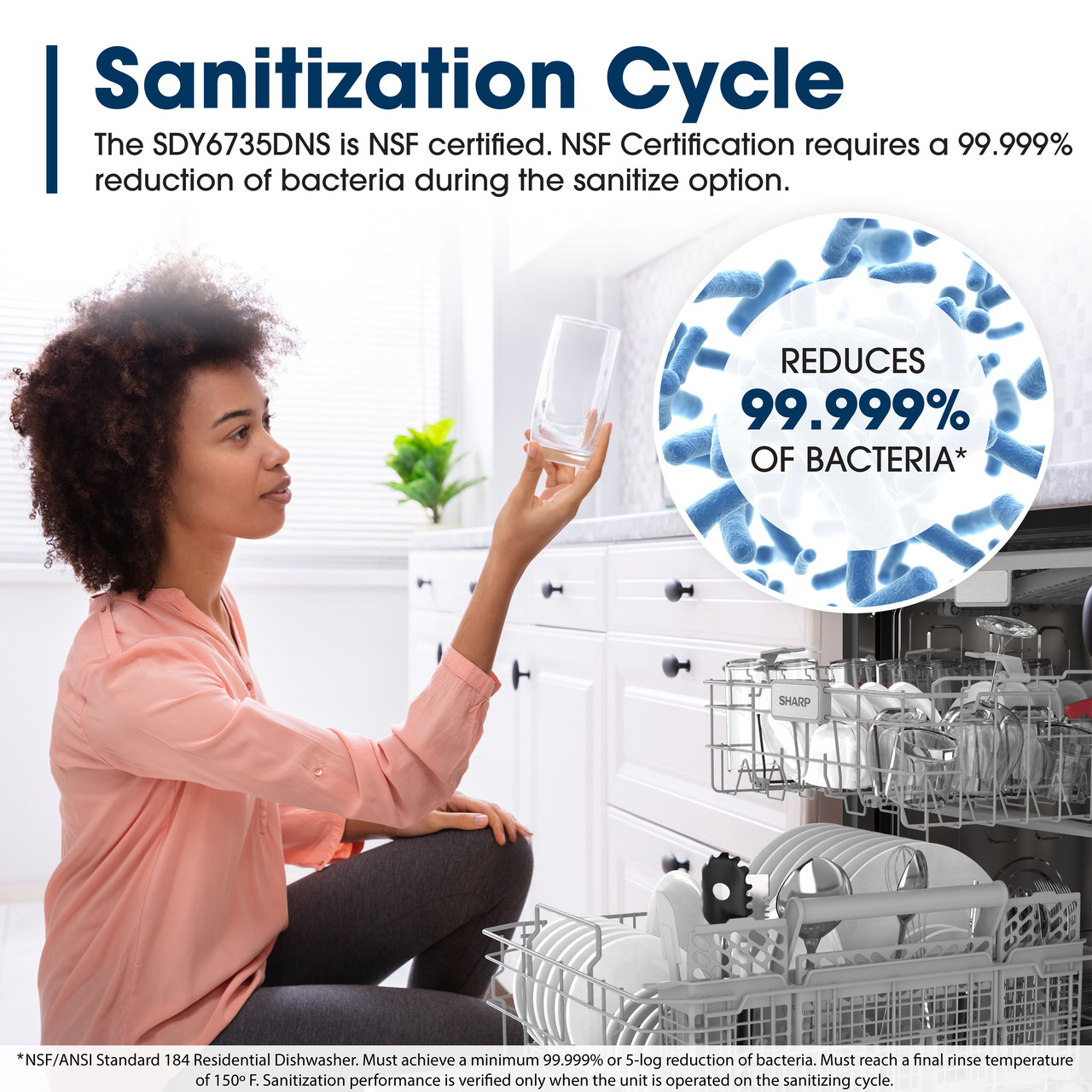 Sharp 24 in. Stainless Steel Dishwasher (SDY6735DNS) Sanitization Cycle Infographic
