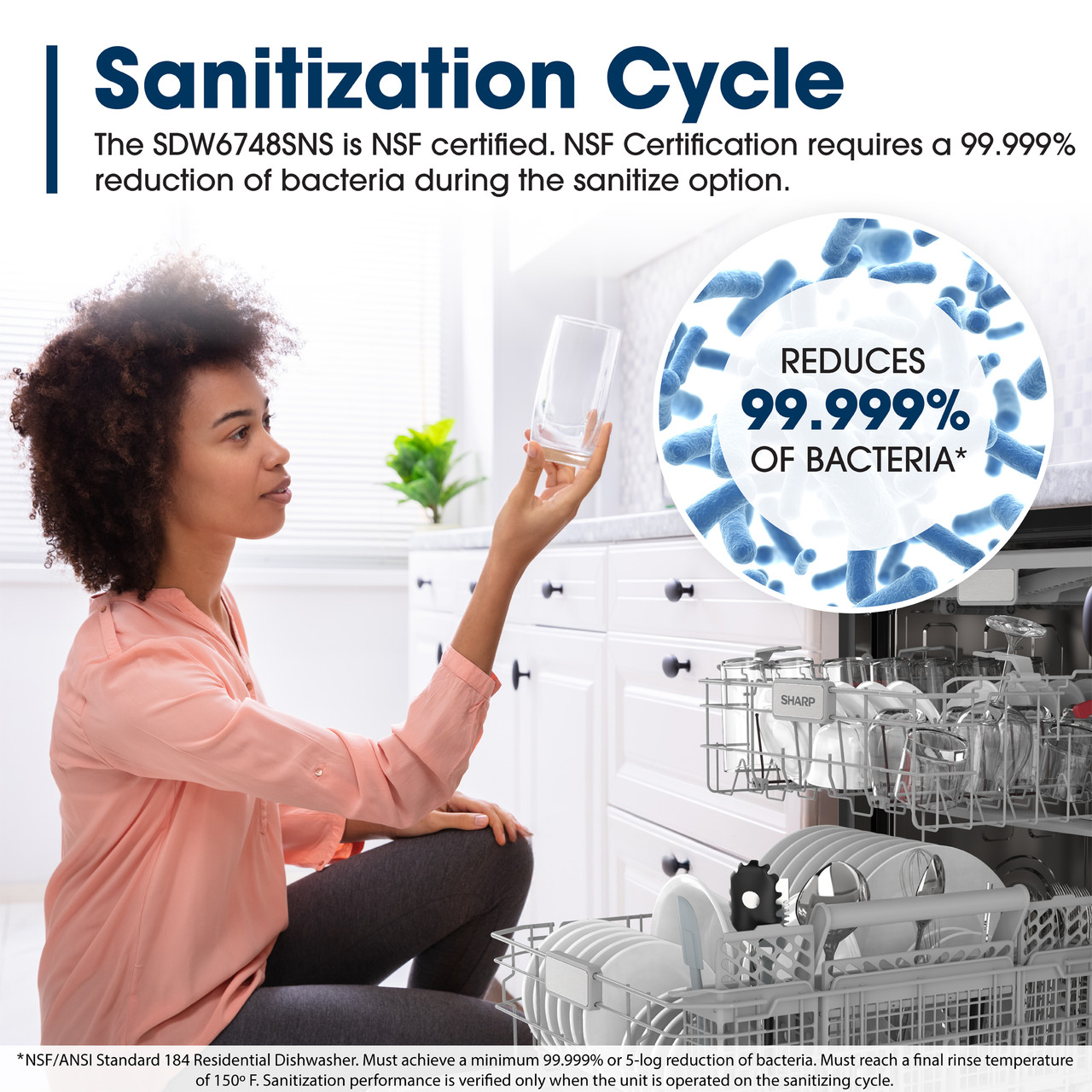 Sharp 24 in. Stainless Steel Dishwasher (SDW6748SNS)Sanitization Cycle Infographic