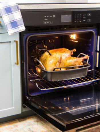 image of a turkey in an oven with the oven door open