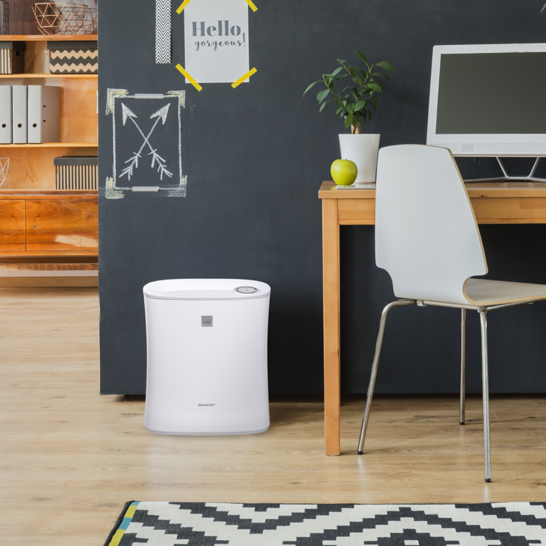 air purifier in small apartment