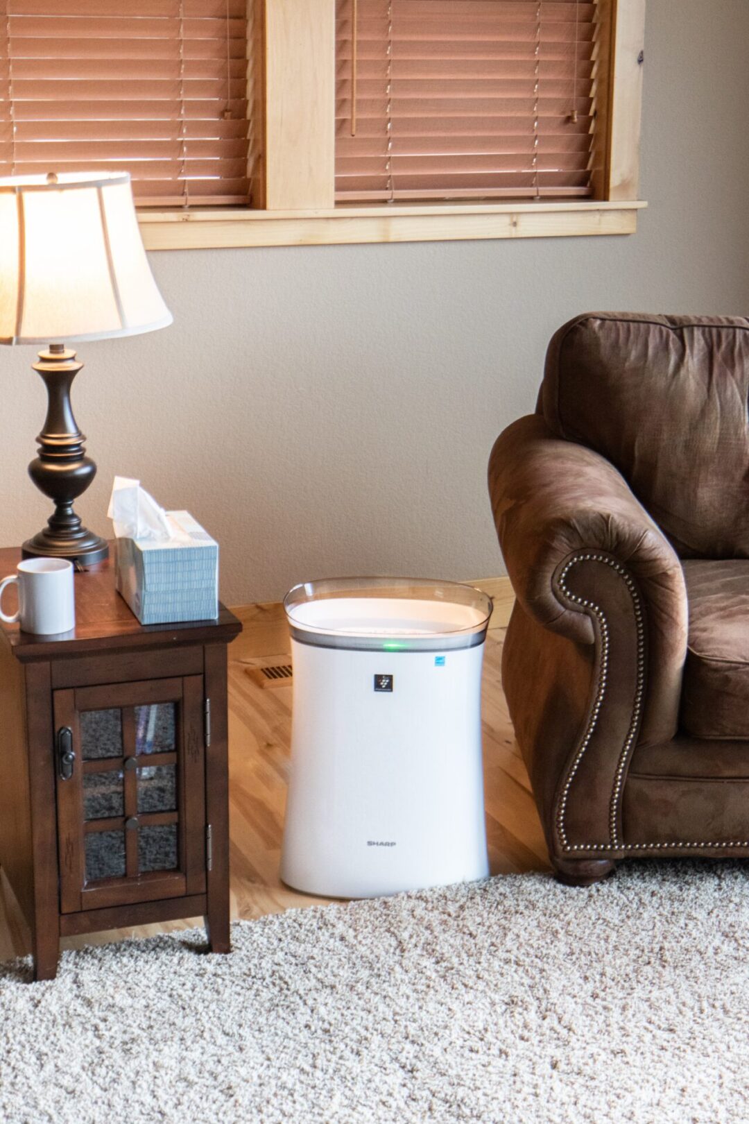 air purifier in a living room