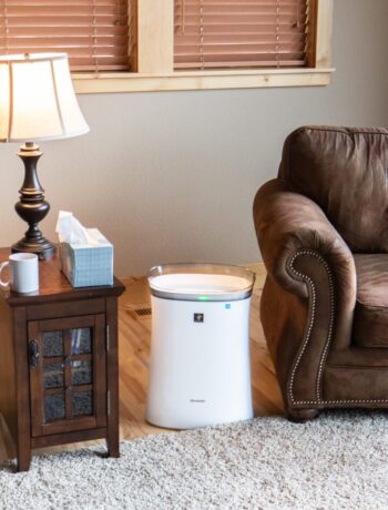 air purifier in a living room