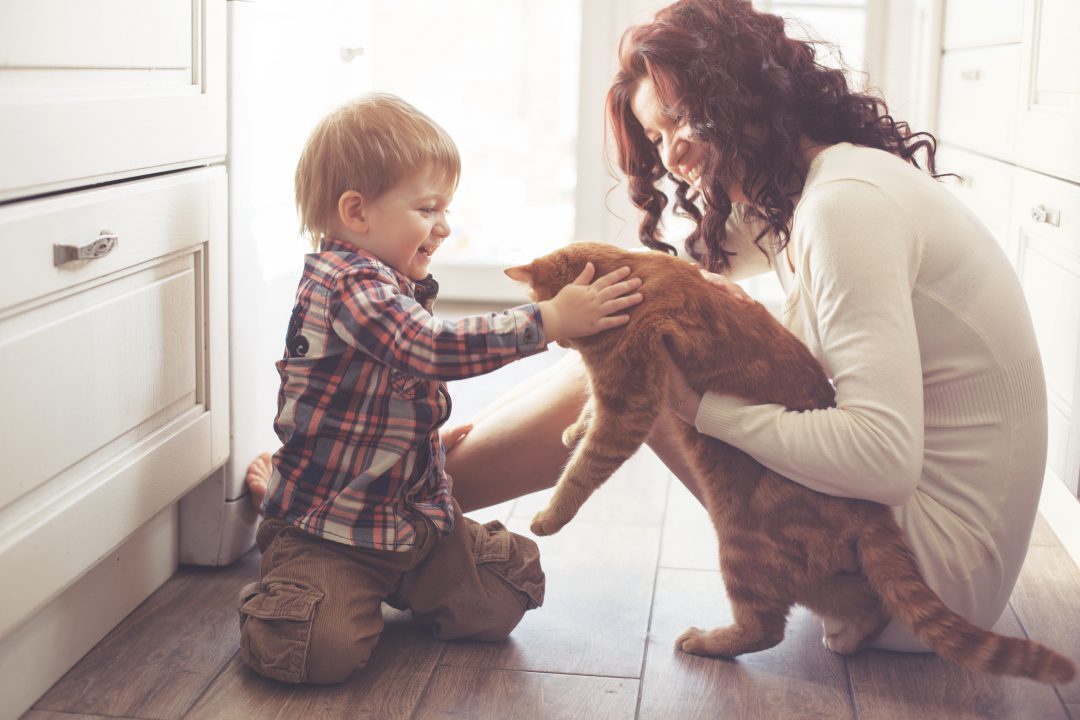 Family playing with pet