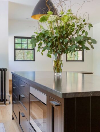 Kitchen with plant