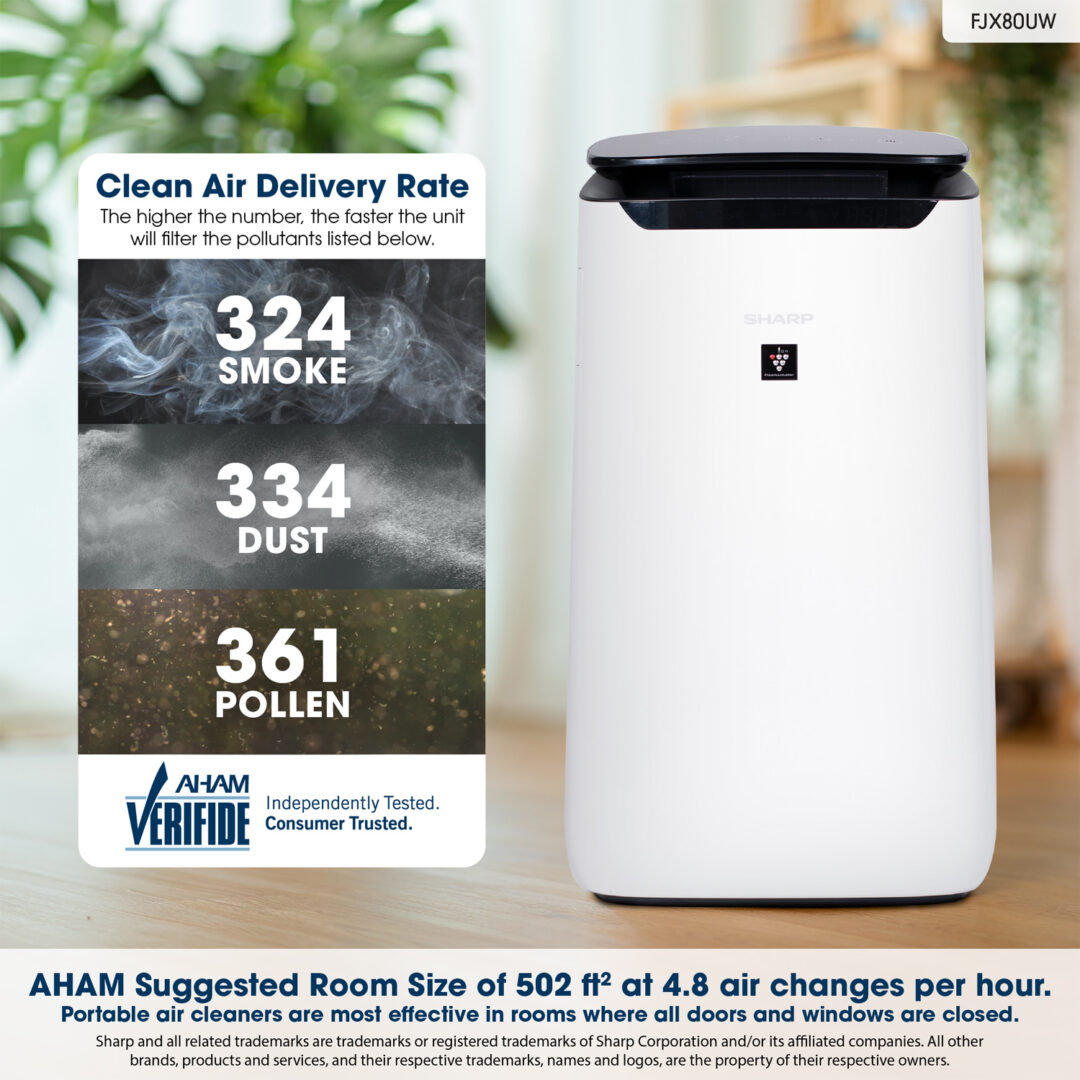 air purifier Infographic