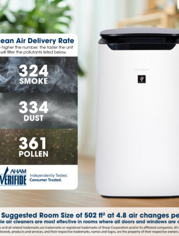 air purifier Infographic