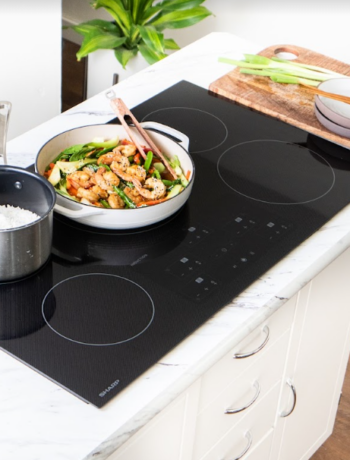 Induction cooktop with shrimp stirfry