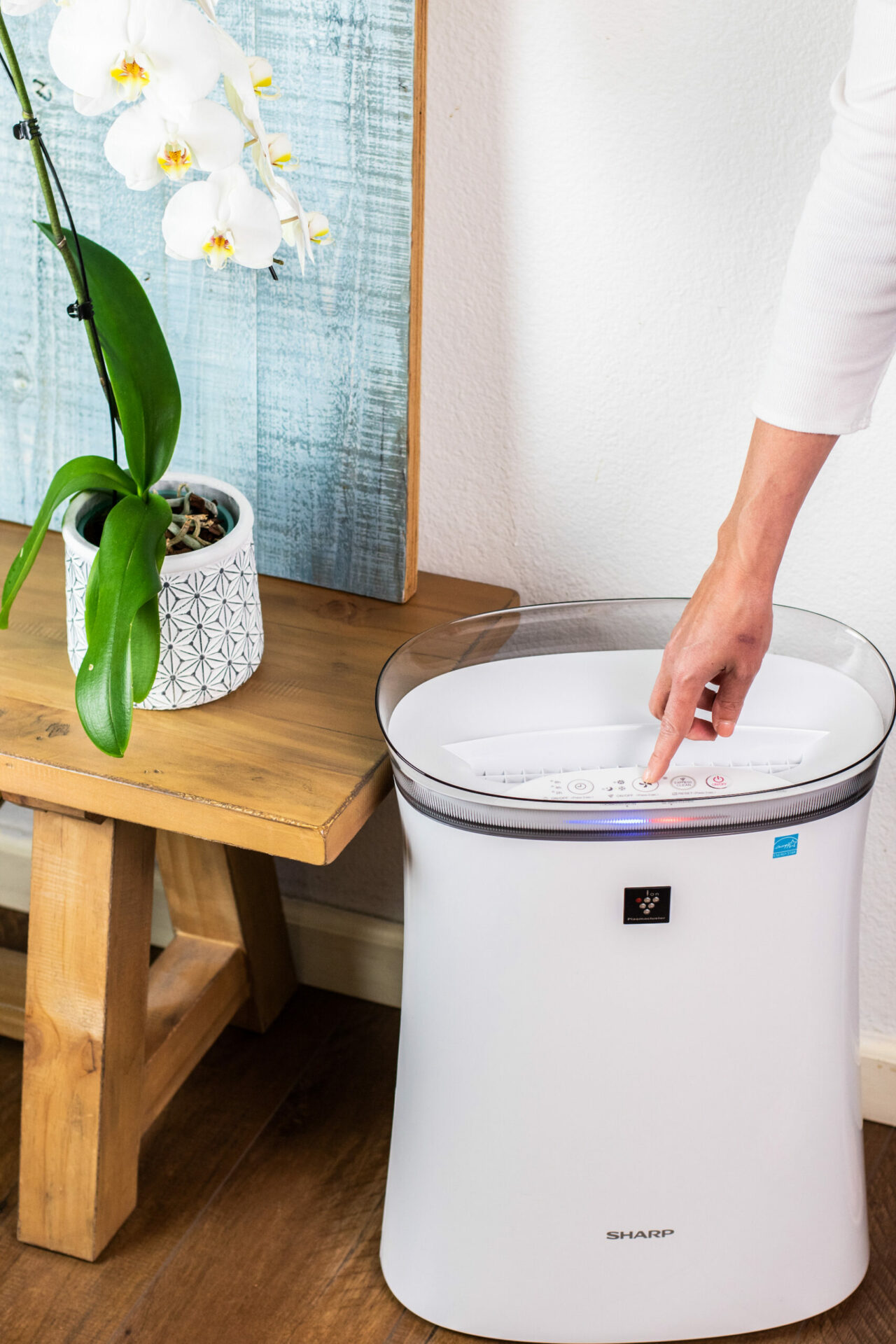Medium Sized Room? Use the Sharp FPK50UW Air Purifier! Simply Better