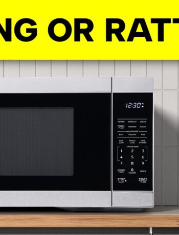 Buzzing or rattling noise in your Sharp Countertop Microwave?