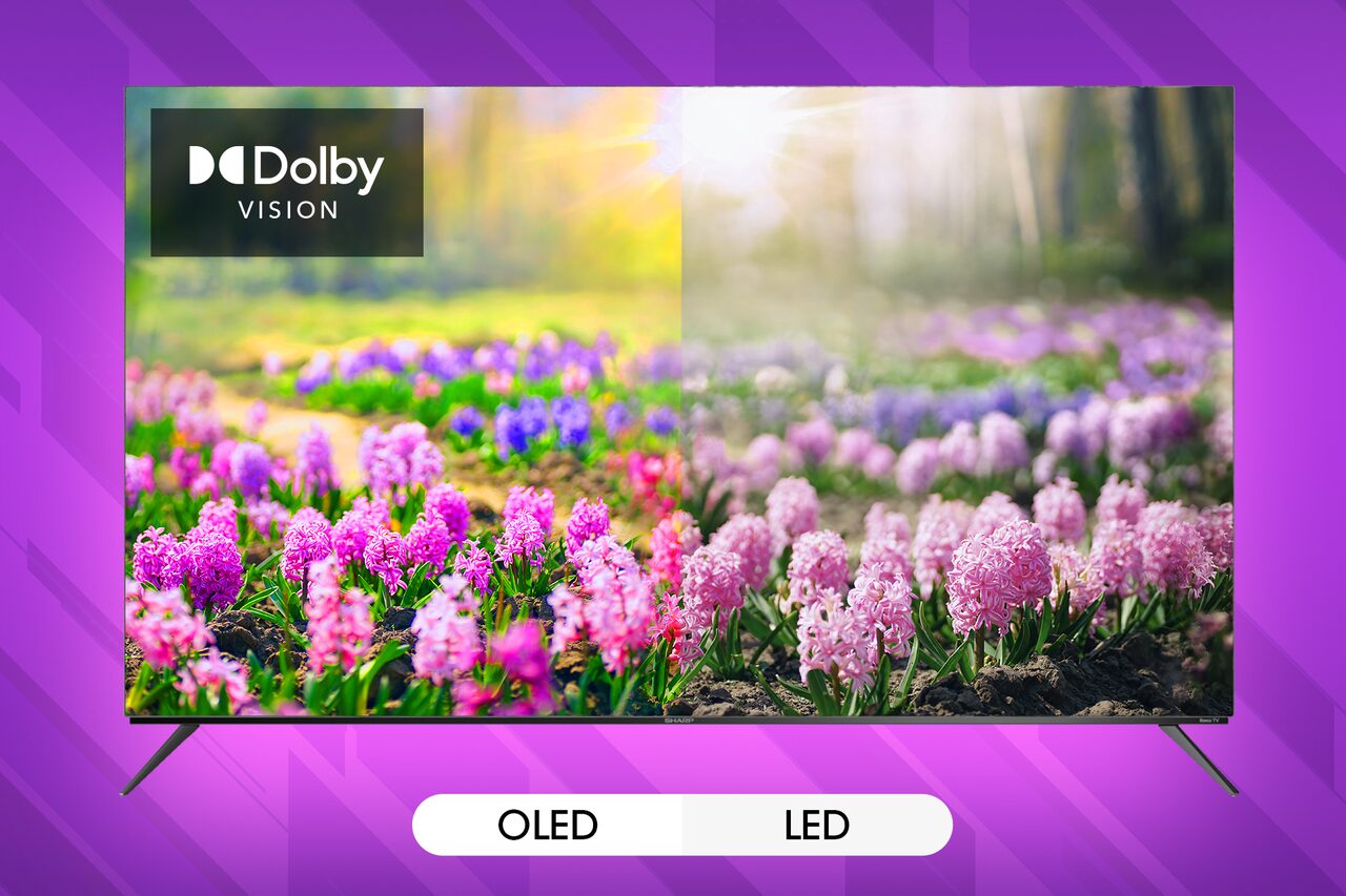 Sharp Roku TV 65" Class OLED 4K Ultra HD (4T-C65FS1UR) lifestyle