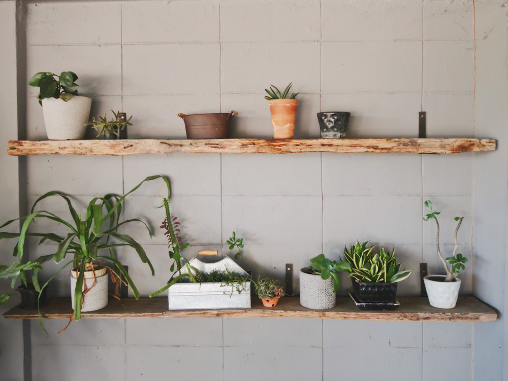 Kitchen Design Trend: Floating Shelves - Simply Better Living