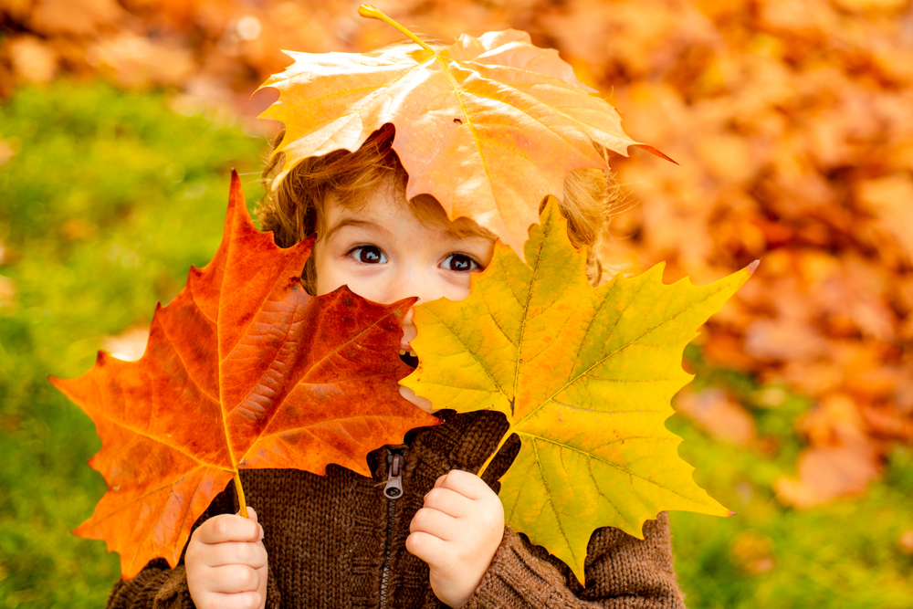 little kid in leaves