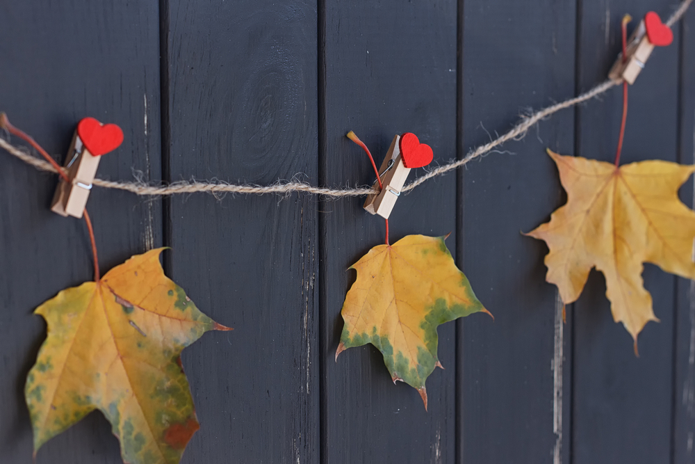 Leaves on clothespins